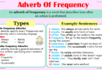 Adverbs of Frequency Definition, Types with Examples