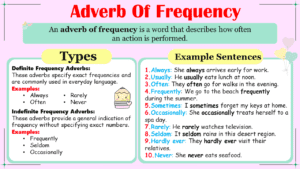 Adverbs of Frequency: Definition, Types, and Clear Examples