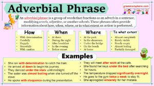 Adverbial Phrase: Definition, Rules, and Examples