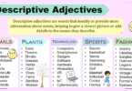 Descriptive Adjectives Definition, Types with Examples