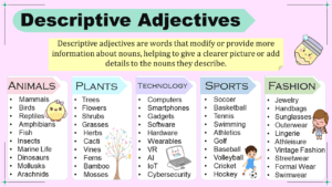 Descriptive Adjectives: Definition, Types, and Examples