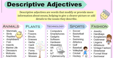 Descriptive Adjectives Definition, Types with Examples