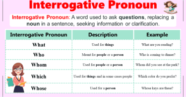 Interrogative Pronouns Definition and Examples