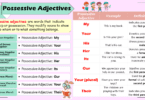 What are Possessive Adjectives? with Examples In English