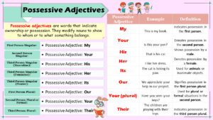 Possessive Adjectives: Definition, and Examples in English