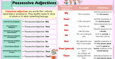 What are Possessive Adjectives? with Examples In English