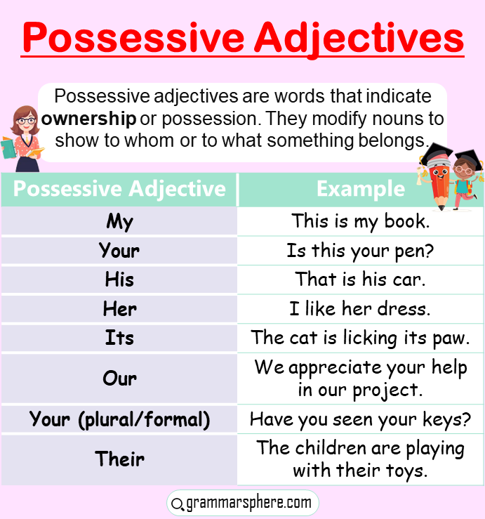 Possessive Adjectives: Definition, and Examples in English