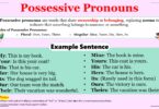 Possessive Pronouns in English