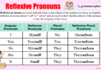 Reflexive Pronouns with Examples and Usage