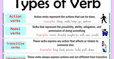 Types of Verb in English