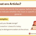 What is an Article