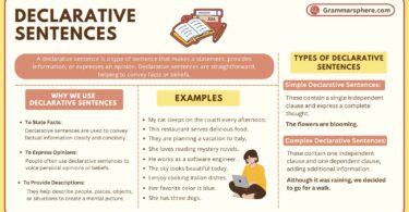 Declarative Sentences in English