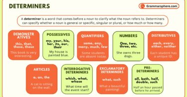 Determiners in English