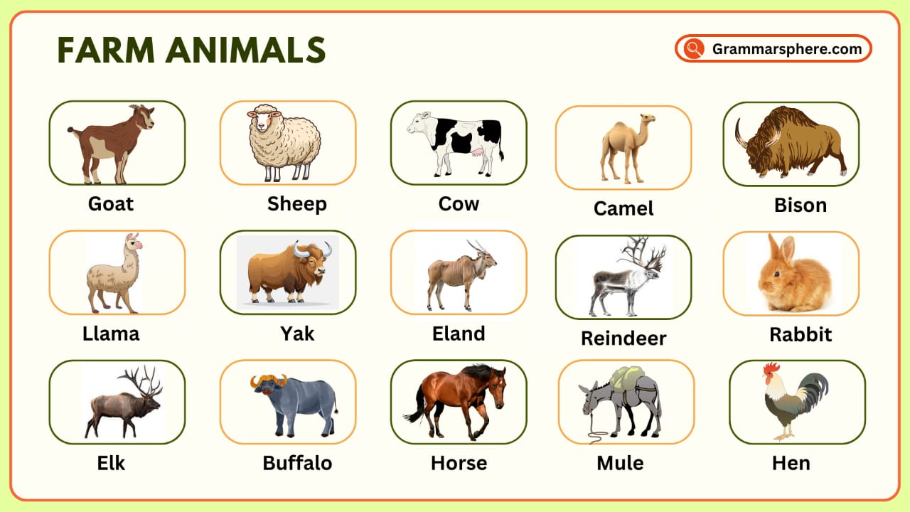 Farm Animals Vocabulary in English