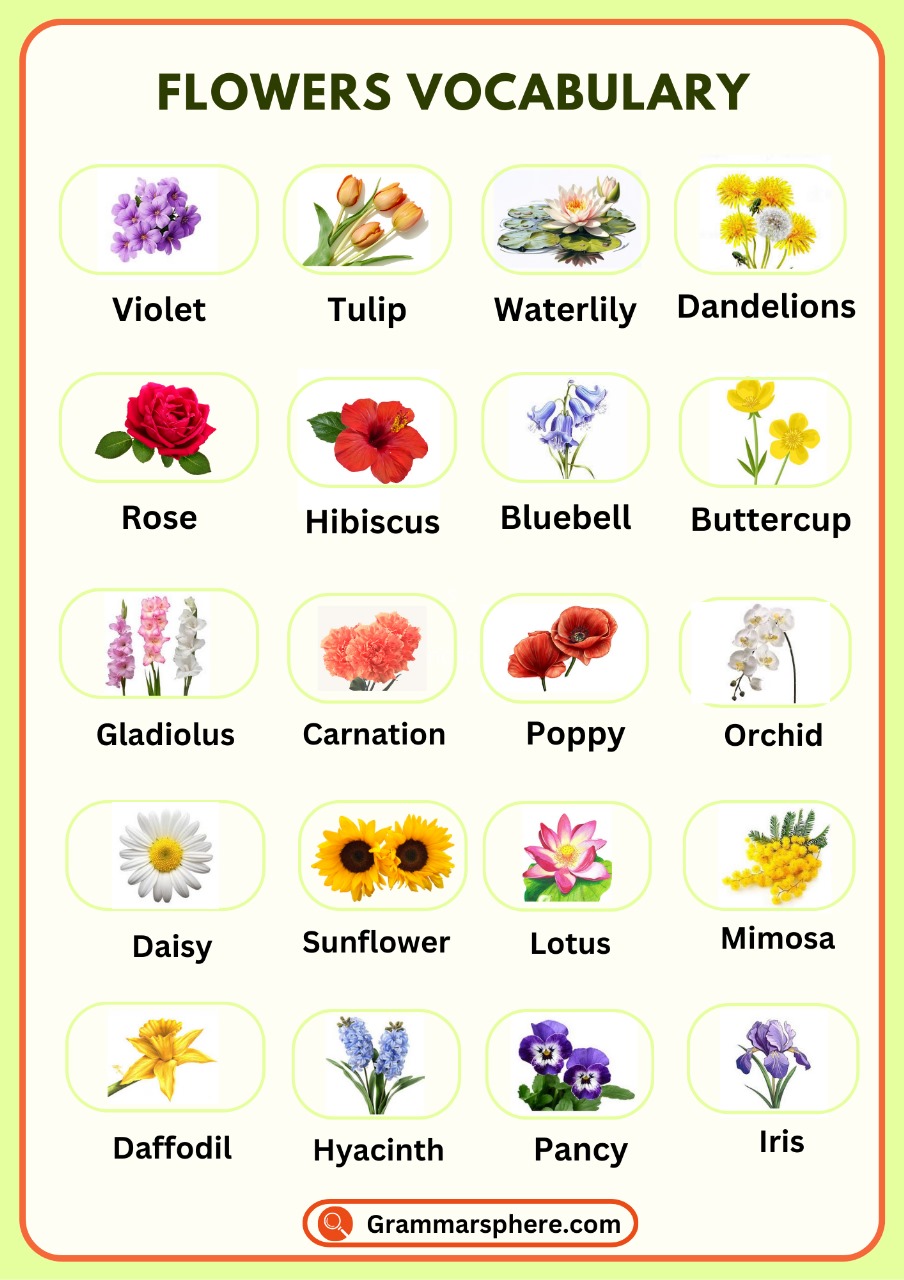 Flowers Vocabulary: Learn Flowers Names in English