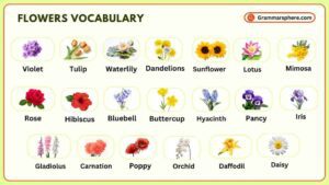 Flowers Vocabulary: Learn Flowers Names in English