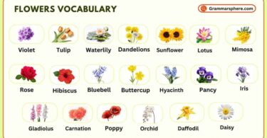 Flowers Vocabulary in English