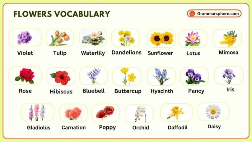 Flowers Vocabulary in English