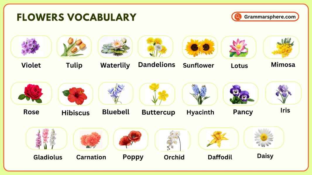 Flowers Vocabulary: Learn Flowers Names in English