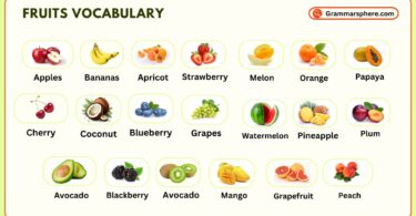 Fruits Vocabulary in English