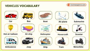 Transportation Vocabulary in English with Pictures