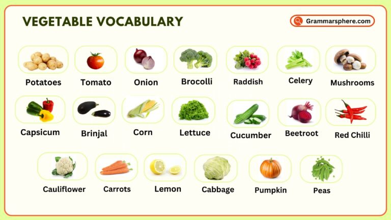 Vegetables Vocabulary in English with Examples and Phrases