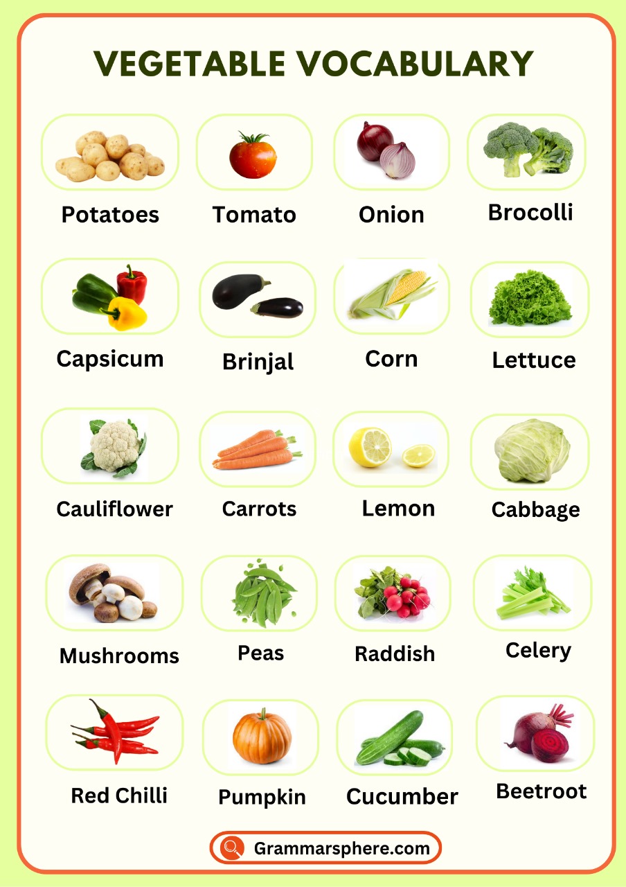 Vegetables Vocabulary in English with Examples and Phrases