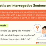 What is an Interrogative Sentence?