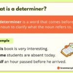 What is a Determiner