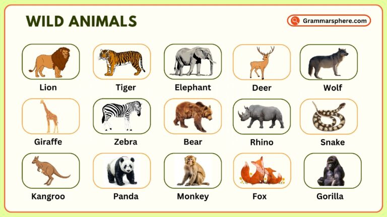 Wild Animals Vocabulary in English