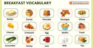 Breakfast Vocabulary in English