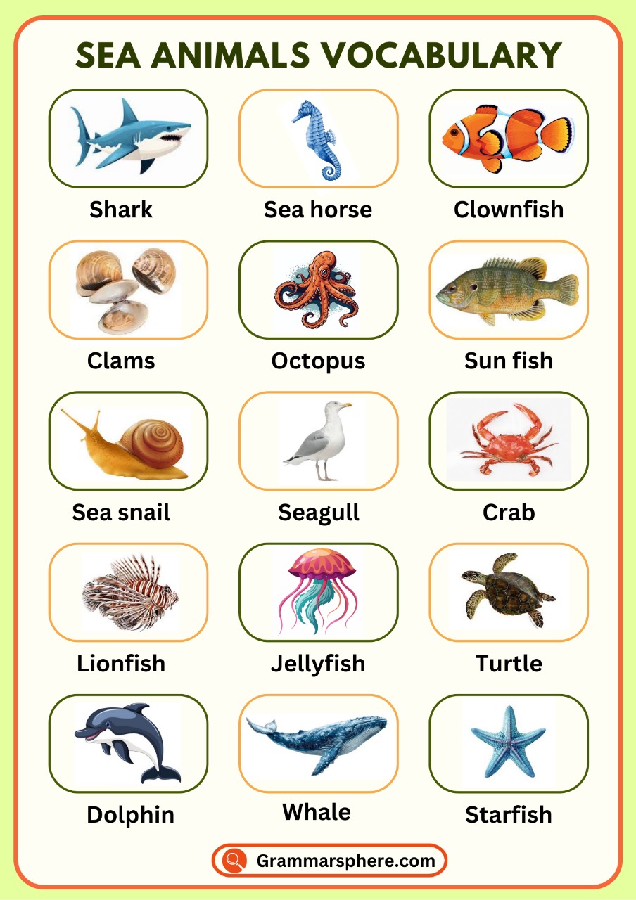 Learn Sea Animals Vocabulary: A Guide to Ocean Life