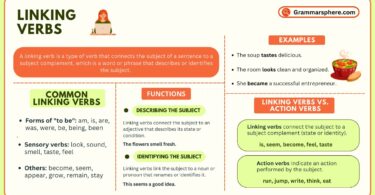 Linking Verbs in English