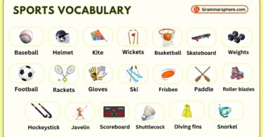 Sports Vocabulary in English