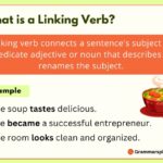 What is a Linking Verb