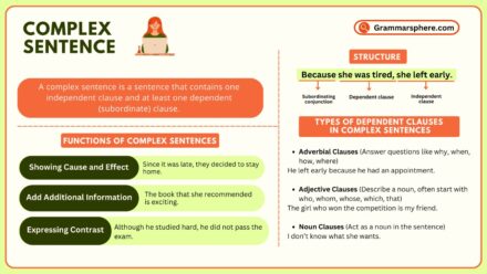 Complex Sentences: Definition, Rules, and Examples