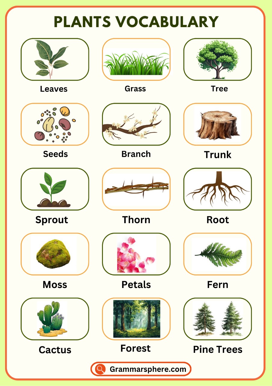 List of Plants Vocabulary in English