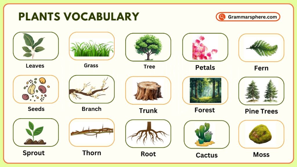 List Of Plants Vocabulary In English GrammarSphere