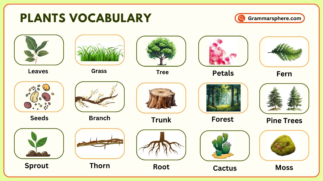 List of Plants Vocabulary in English