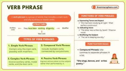 Understanding Verb Phrases: Definition, Types, and Examples Explained