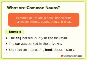 What is Common Noun?