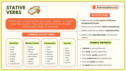 Stative Verbs