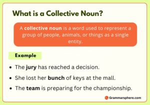 What is a Collective Noun?