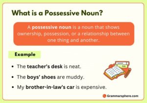 What is a Possessive Noun?