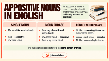 Appositive Nouns in English