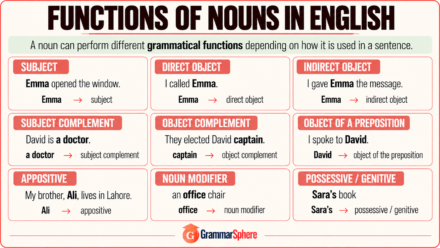 Functions of Nouns in English: Rules and Examples