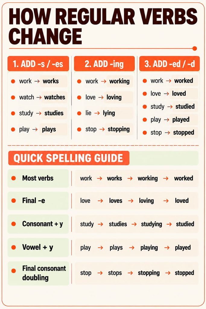 Five forms of regular verbs in English with examples of each verb form
