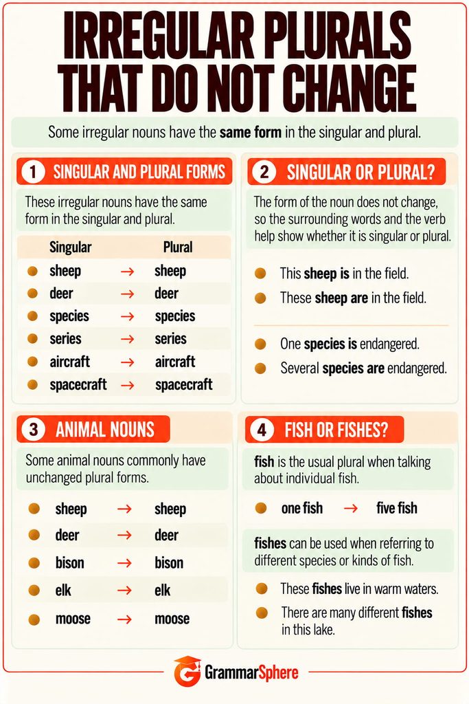 Irregular plural nouns that have the same singular and plural form