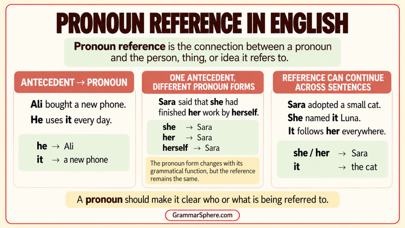 Pronoun Reference in English: Rules and Examples