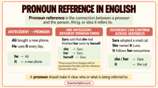 Pronoun Reference in English: Rules and Examples